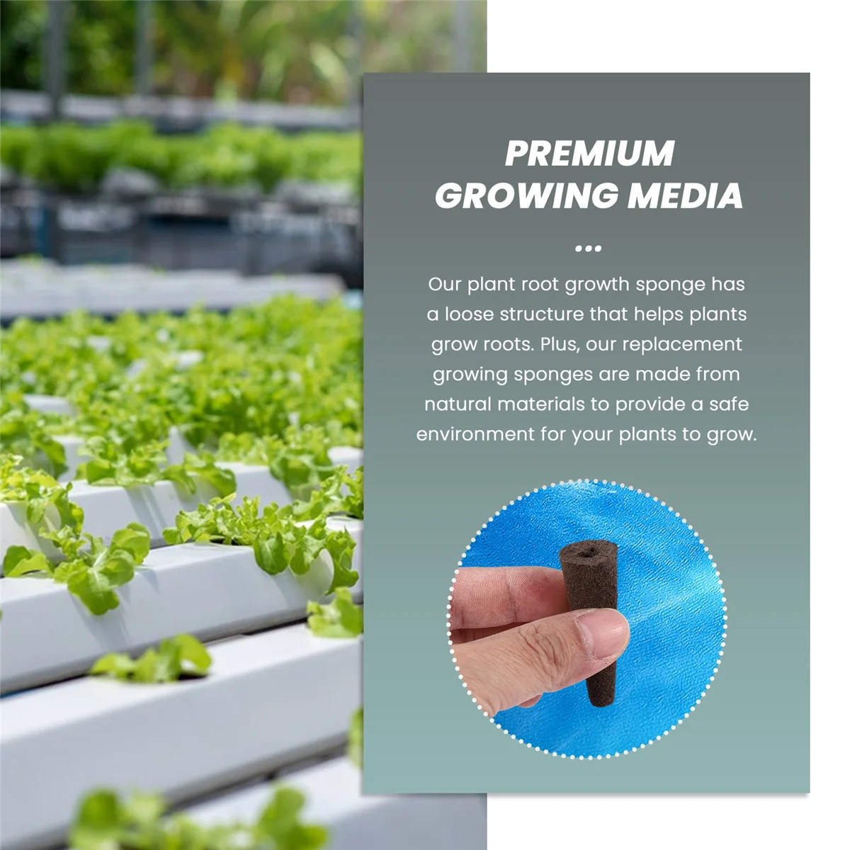 【Новый User-Coupon!】губка