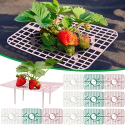 Support carré de protection des plantes, pilier de vigne grimpante Harvey, supports pour fruits, outils de balcon de jardin T1, 5 pièces, 10 pièces, 20 pièces