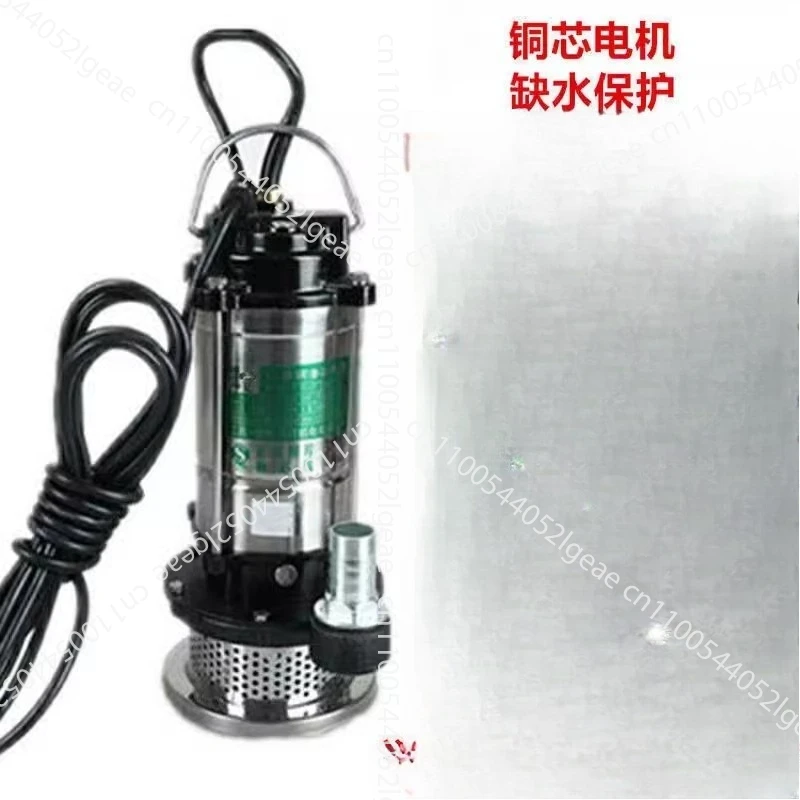 

Home Use Diving Pump 1 Inch 220V Small Water Pump for High Lift Well Water