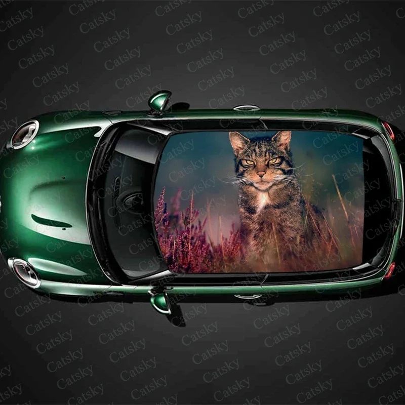 

Wildcat, фотография животного, фотопленка, гоночный внедорожник, автомобильные аксессуары, упаковка, окрашенная ПВХ автомобильная капота, графическая наклейка, украшение