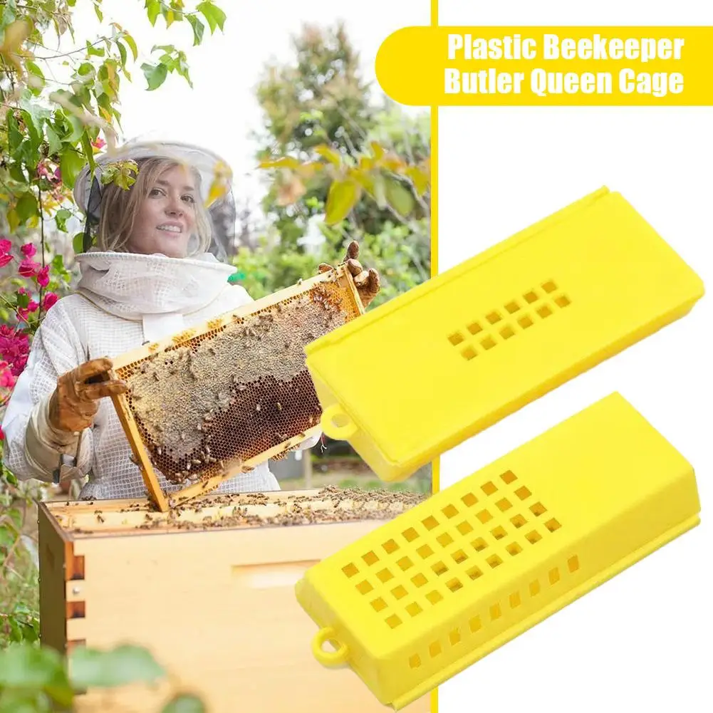 Beekeeping Equipment Yellow Plastic Queen Bee Cage Dispenser Water Bee Bee Queen Prisoner New Honeycomb Cage Design O0S0