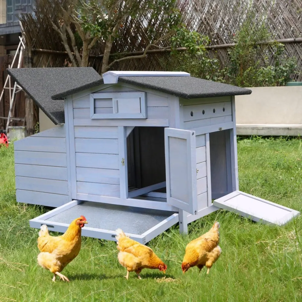 حظيرة الدجاج على ركائز مع عش وضع خشبي تحمي الدجاج من المفترسين، عش مرتفع، سهل التنظيف