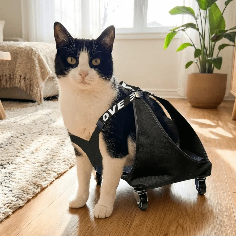 Adjustable Pet Towing Bag Pulley Car Breathable Protective Cat Walking Wheelchair Professional Pet Assisted Walking Vehicle