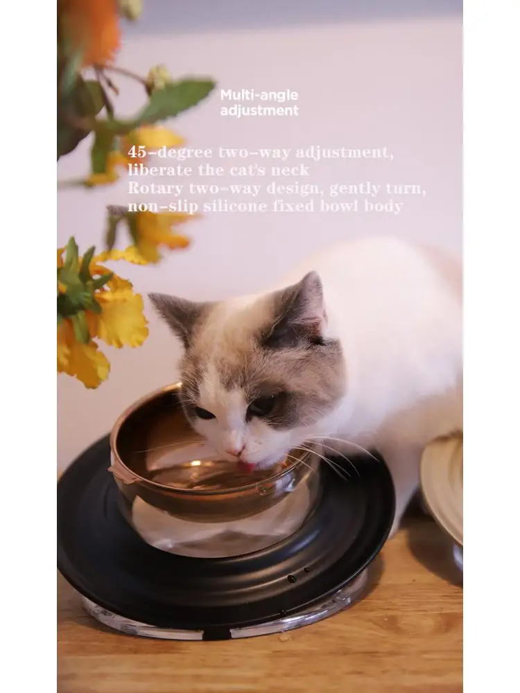 

Stainless Steel Water Bowl to Protect the Cervical Vertebrae Cat Food, Prevent Overturning and Anti-Black Chin