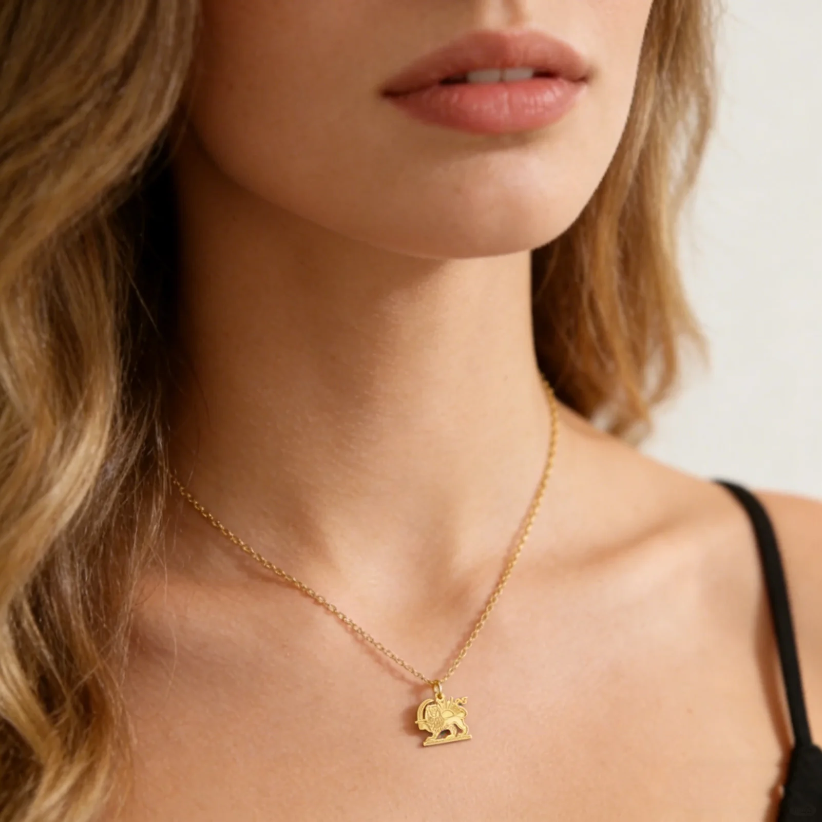 COOLTIME Edelstahl Shir o Khorshid Anhänger Halskette Iran Persischer Löwe und Sonne Schmuck 2026 Neuer Trendiger Geschenkartikel für Männer und Frauen – Detail 12