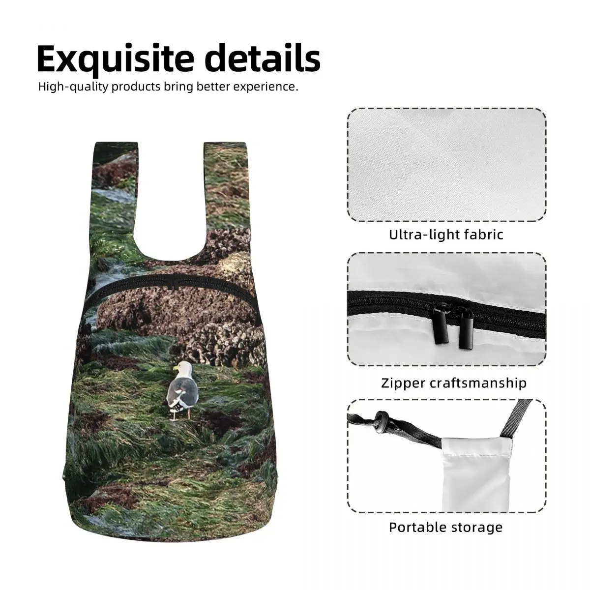 Where Am I Student Backpack School Bag Hiking Travel Daypack for Men Women Storage Bookbag Shoulder Bags