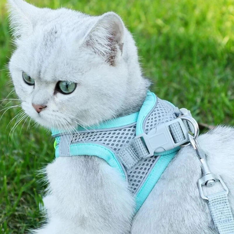 Cat Harness Leash Set Soft Mesh Harness Adjustable Cat Vest With Reflective Straps Small Large Cat Walking Harness And Leash