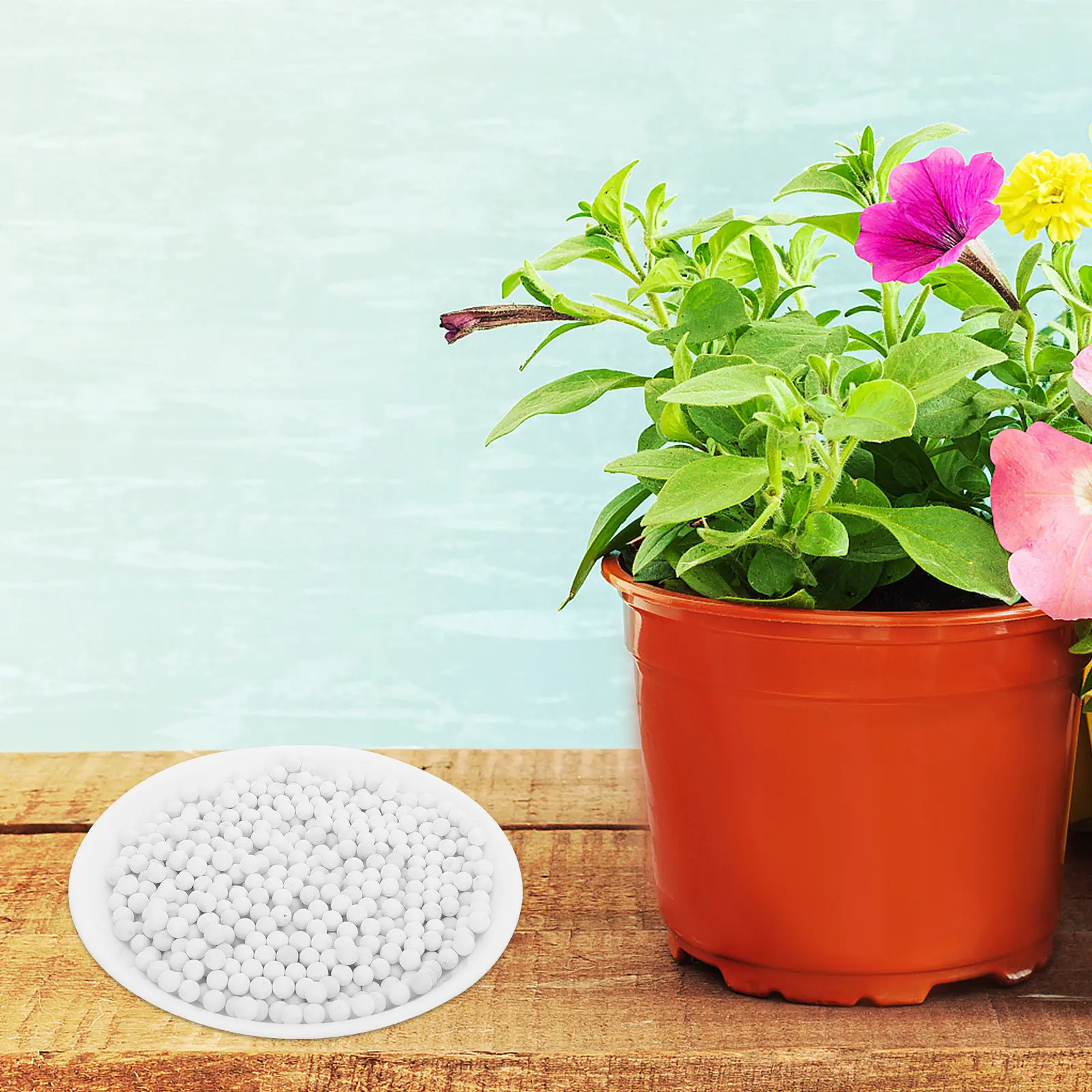 

2 Bags Flowers Ceramsite Cultivation Soil Stone Natural Air Purifying Green Material for Hydroponic Succulent Pot Surface