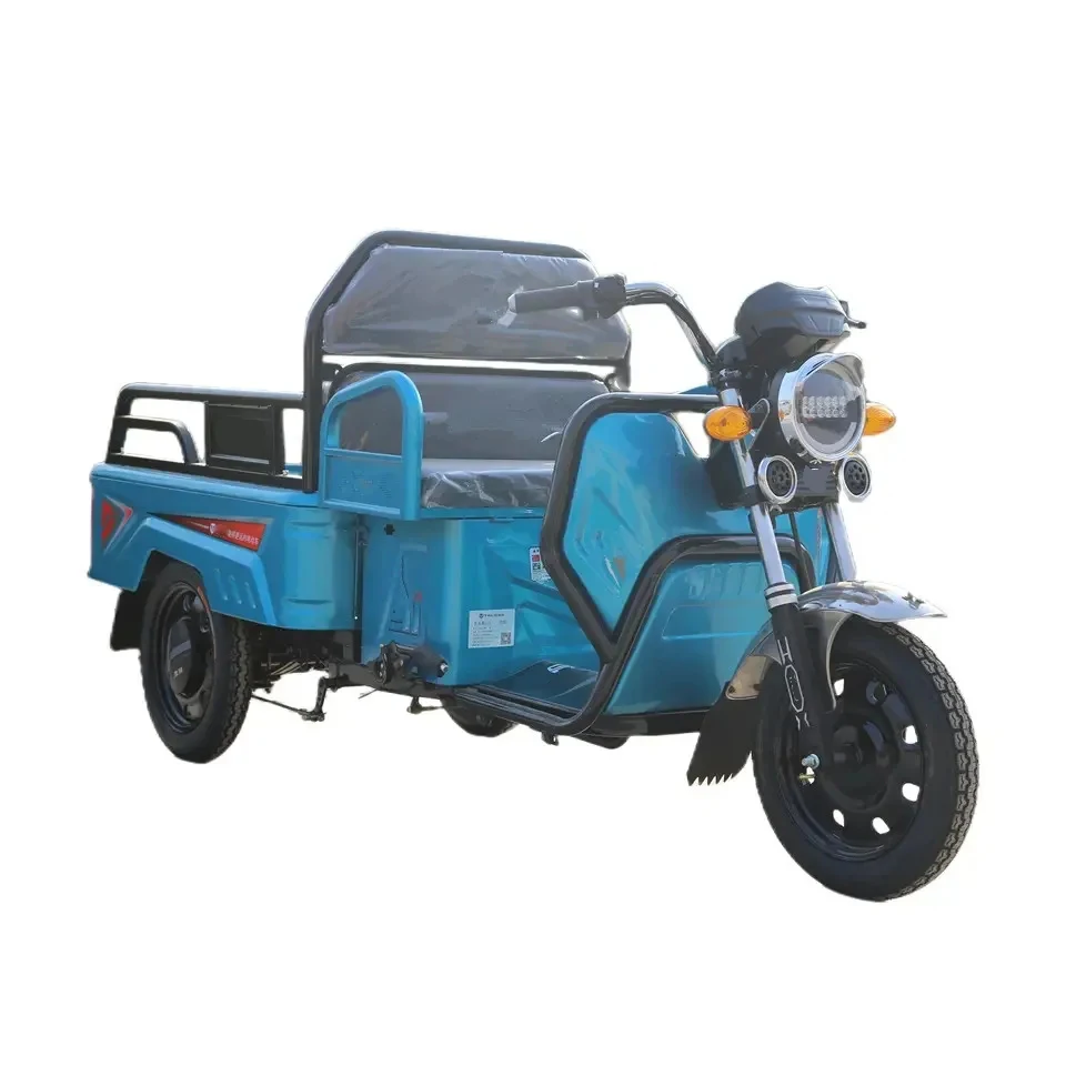 2023-2024 Popular 300cc Cargo Tricycle Bike Cargo Fully Power 500w800w1000w Wanhoo Cargo Tricycle