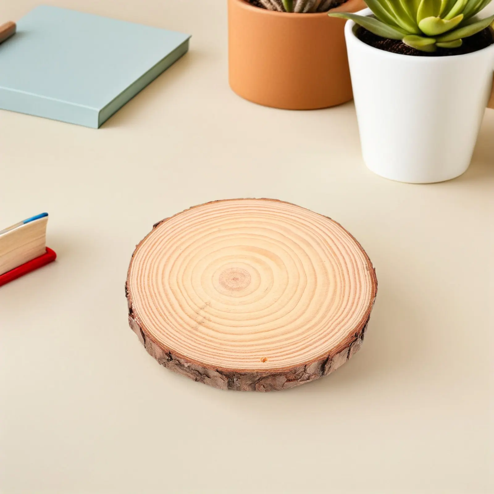 5Pcs Wooden Round Wood For For Christmas Crafts Christmas Decor Blank Natural Slices 14-15Cm Rustic