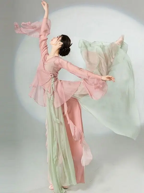 

Chinese Classical Dance Dress Flowing Chinese Style Half Skirt Chiffon National Style Stage Performance Costume