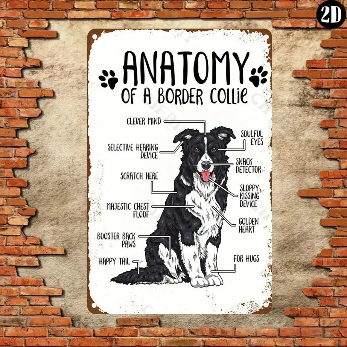 Border Collie Anatomy Wall Sign Aluminum Metal Art for Home Decor Halloween Christmas Housewarming Gift