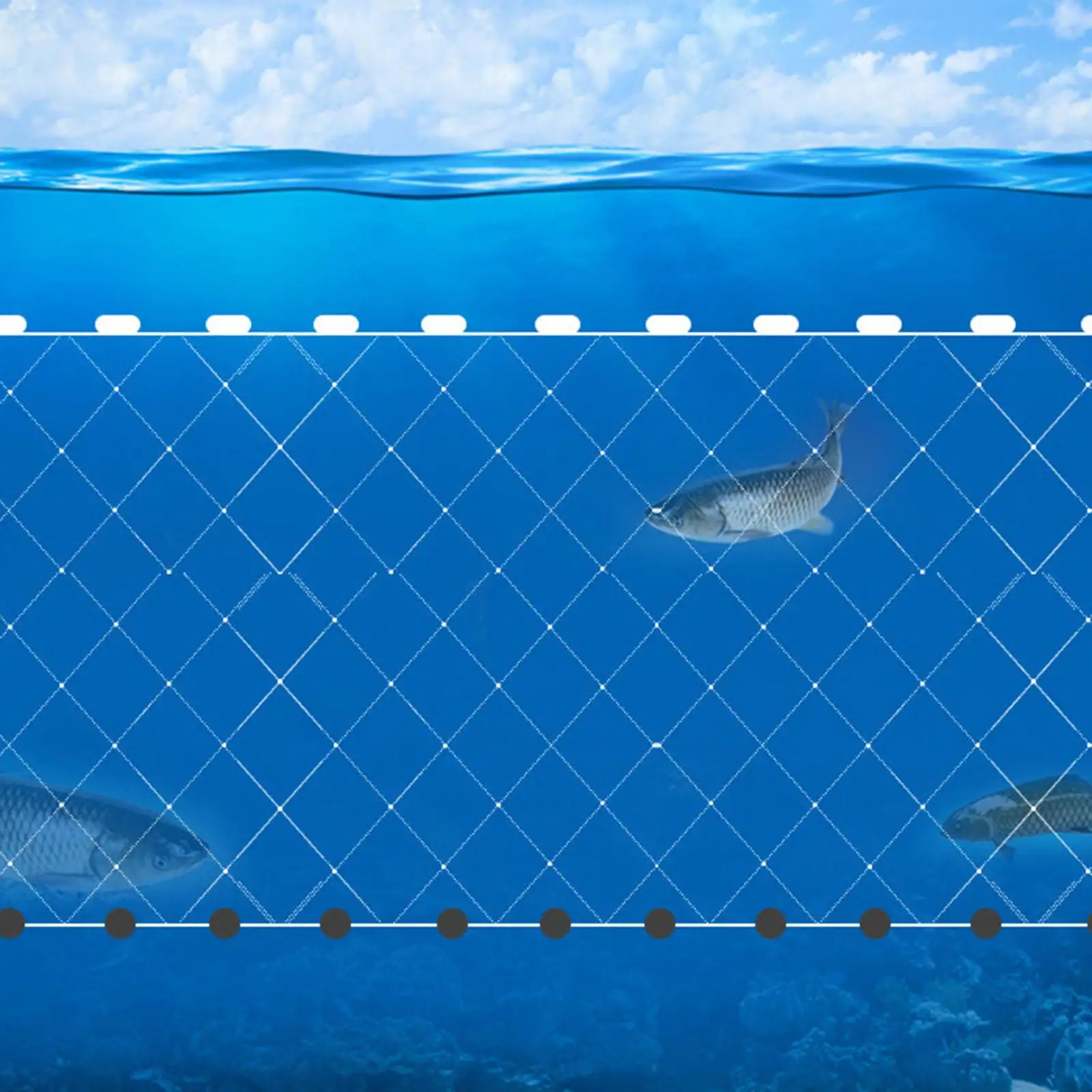Hand Throw Fishing Cast Net PVC Single Layer Trap Mesh Net for Crawfish Carp Sea Saltwater Freshwater Angler