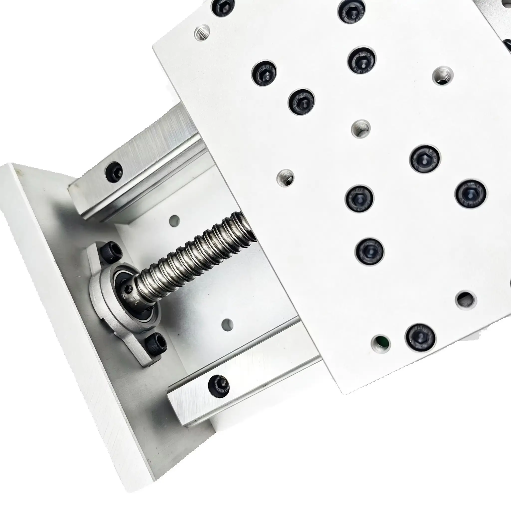 ZBX 150 100-600mm X/Y/Z cross slide double linear slide guide 1605 ball screw