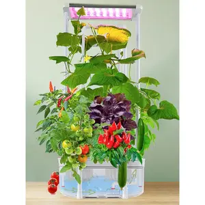Indoor Vertical Hydroponic System with LED Lighting for Growing Tomatoes, Peppers, and Cucumbers