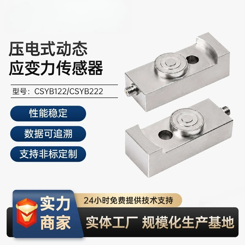 Piezoelectric dynamic strain sensor, CSYB122A (electric and PE)