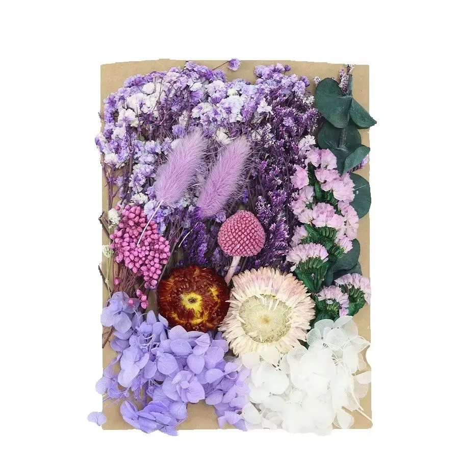 Set Natural Plants Preserved Real Flowers Material Epoxy Resin Candles Craft Di…