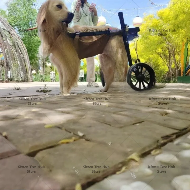 Rehabilitation Training Dog Wheelchair, Medium to Large Dogs, Hind Limb Assistance, Disability Mobility Aid, Pet Walker Trolley