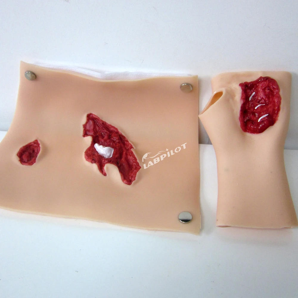 Trauma Nursing Evaluation Casualty Wound Simulation Kit Doctors Training Model