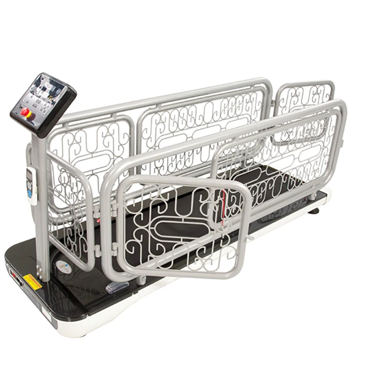 

Longermay Dog Treadmill Walking Machine Pet Treadmill For Dogs Cat Treadmill