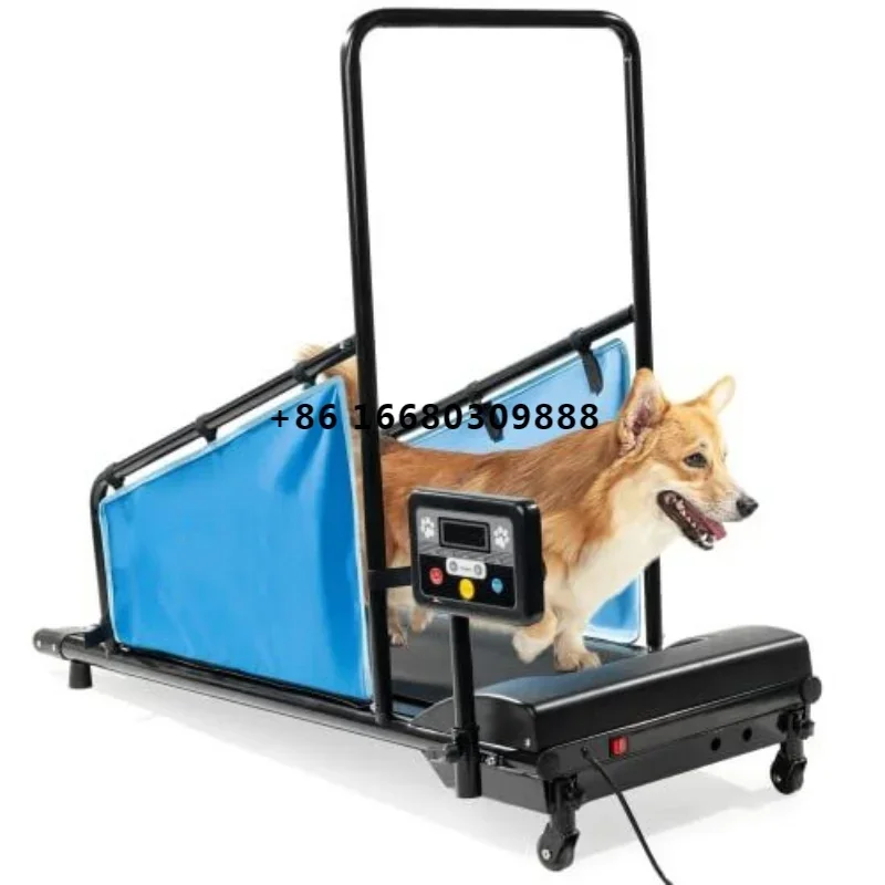 Small Dog Treadmill Run Walk Indoor Dogs Training