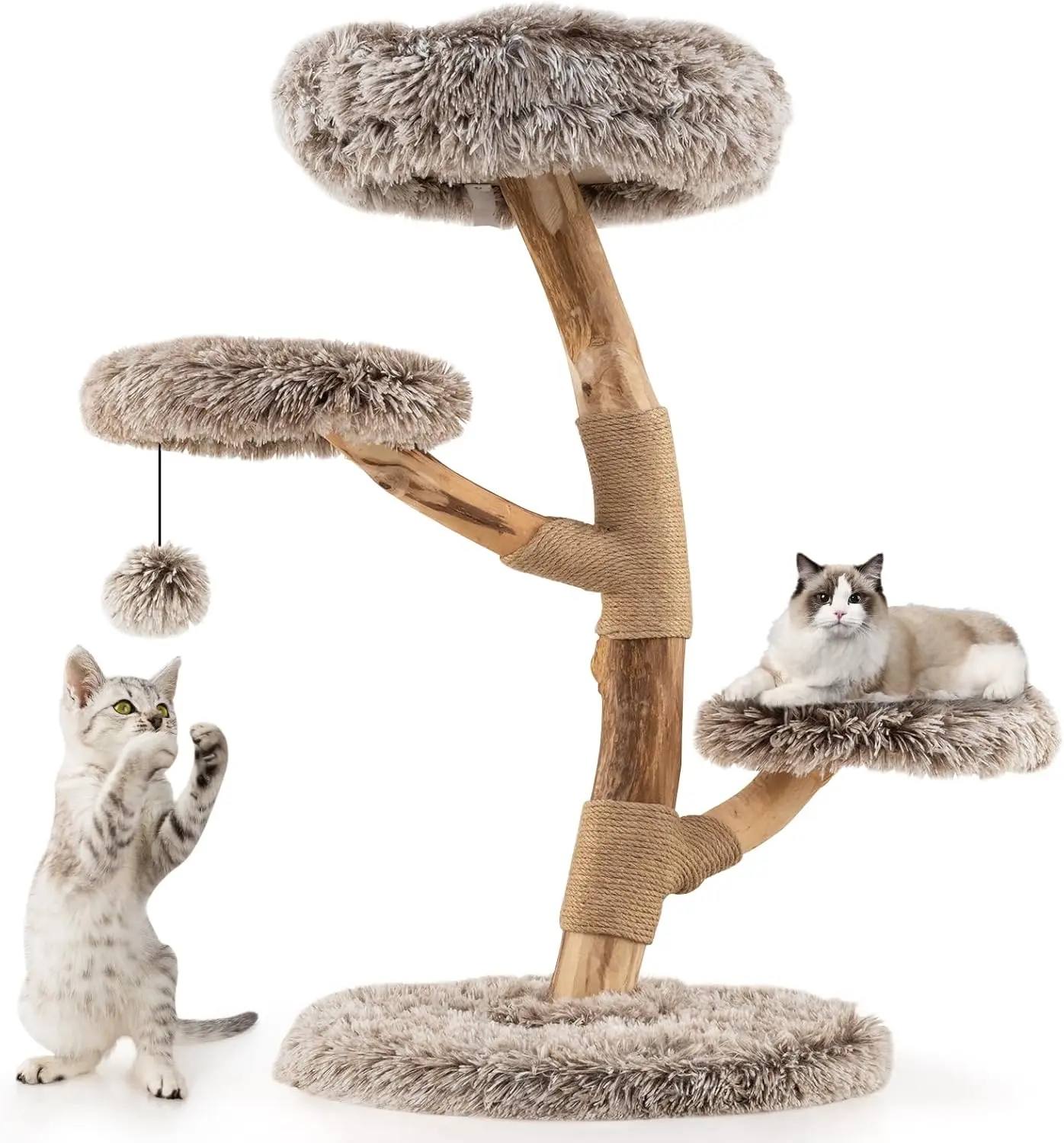 Indoor Kitten Cat Tree, Solid Wood, Natural Color, Multi-Level with Scratching Posts, Cozy Perch and Dangling Ball