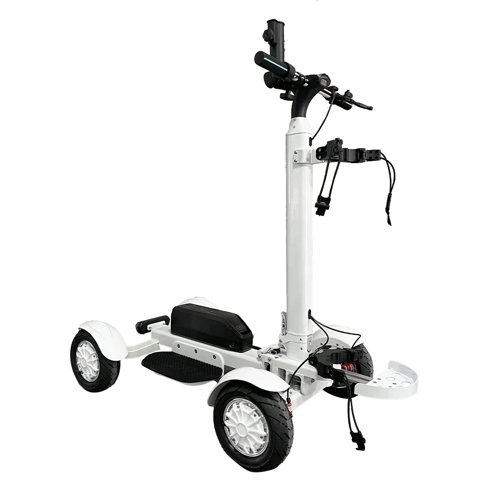 2400W Brushless High Power Detachable Long Range 48V 20AH Lithium Battery 4-Wheel Foldable Mini Cart Disc Brake 18km/h