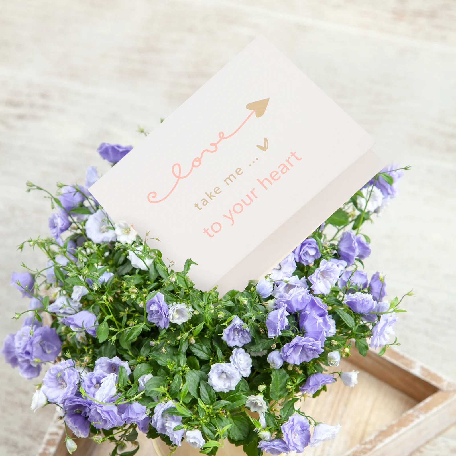 

Greeting Smooth Writing Paper Festival Blessing Cards Birthday Thanksgiving Mother'S Day Cards For Party Express Blessings