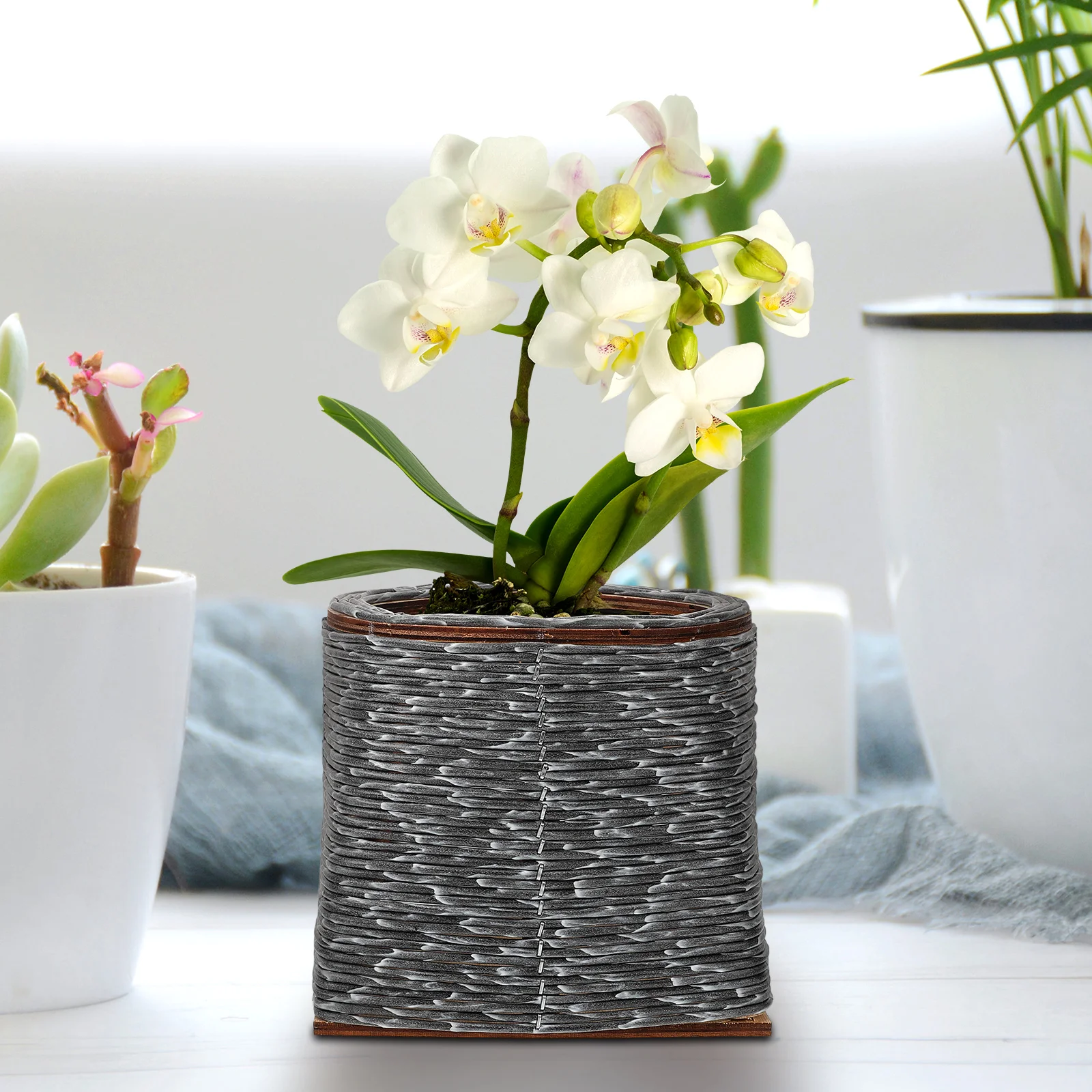 

Woven Plant Basket Flower Pot Holder Durable Indoor Bonsai Display Container Potted Plants Planter Garden Home Office Plastic