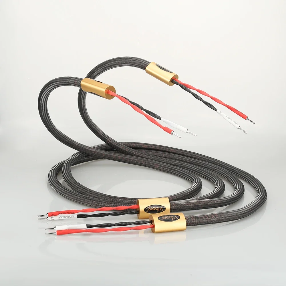 Viborg Namtso Signa… - image