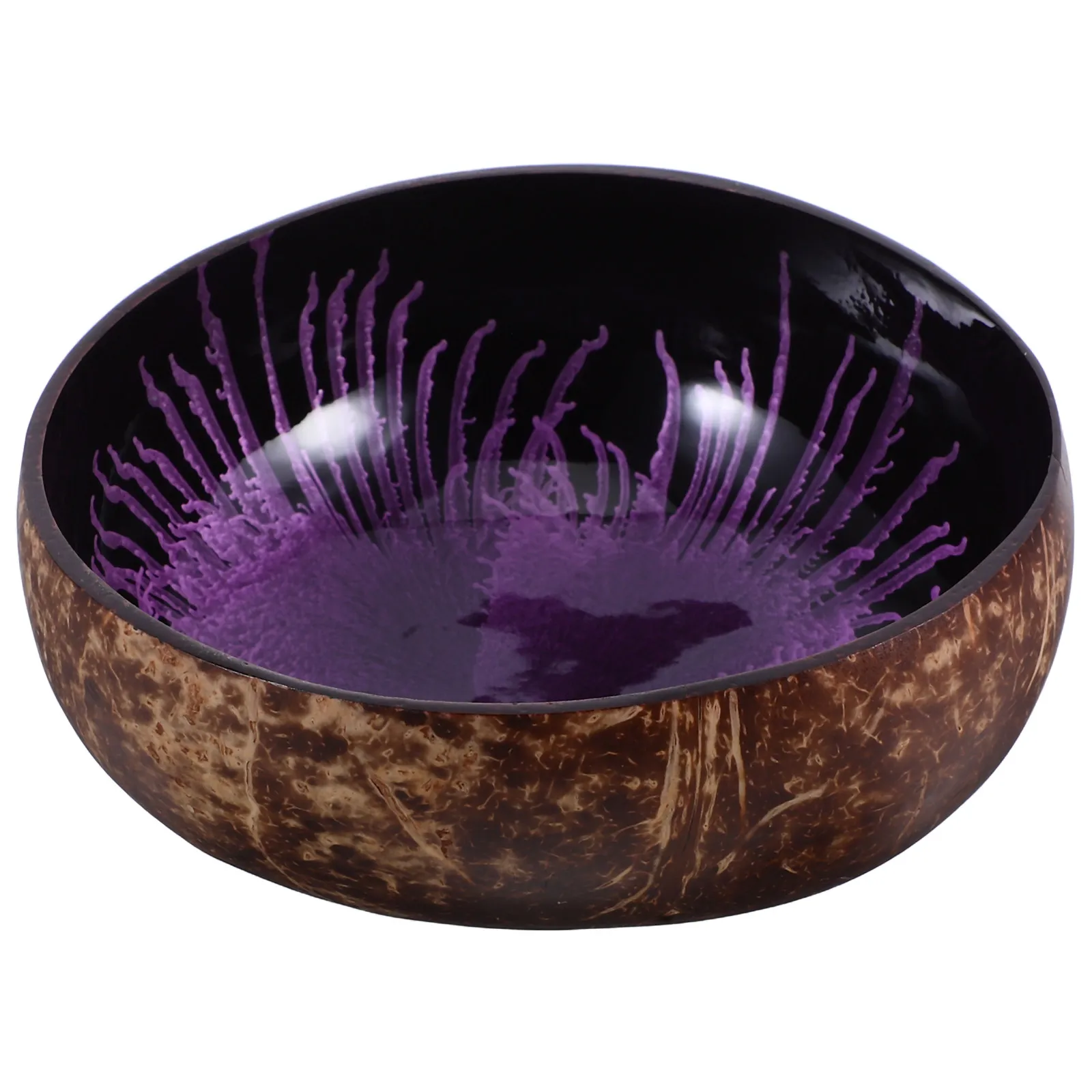 Natural Coconut Bowl Small Size Decorative Candy Dish Nut Holder Key Storage Container for Desk Entryway Key Bowl