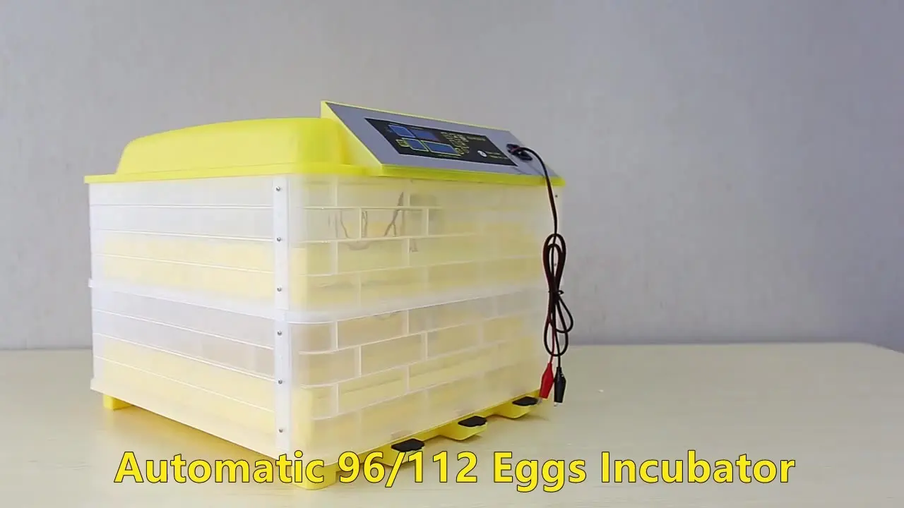 Promotion 98% hatching rate chicken egg incubator 294