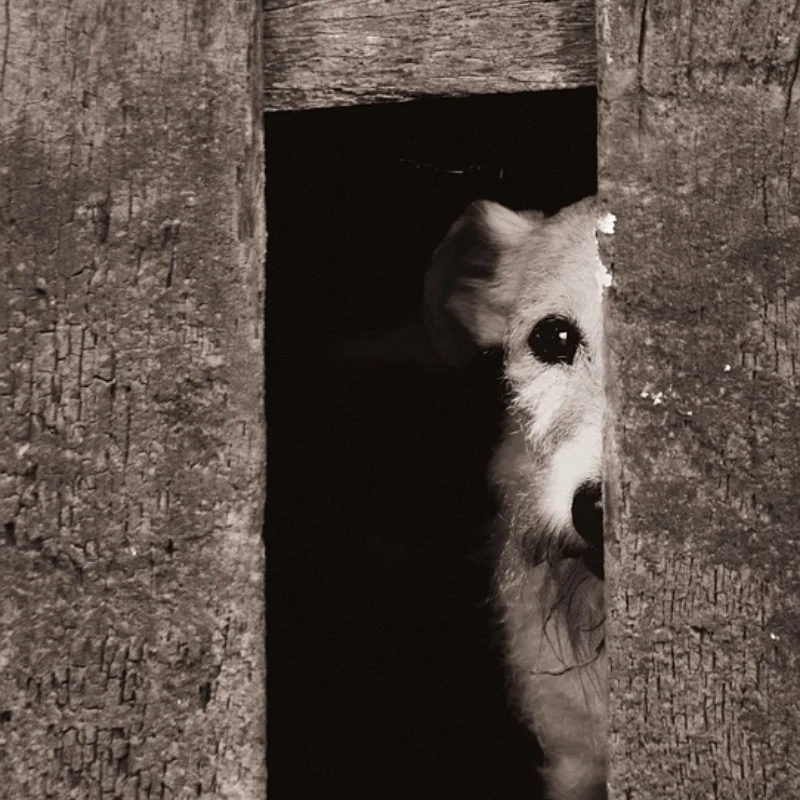 

ARRMA 1/7 Infraction Tire D266 101×44mm 12mm Hex 4PCS Набор для KM Rally/X3GT/Limitless RC Upgrade