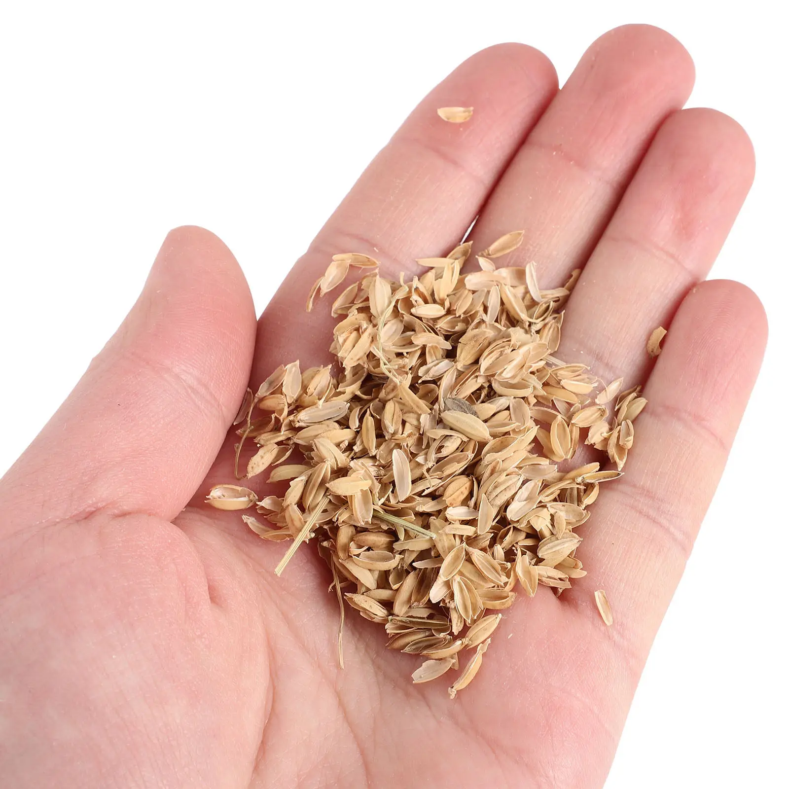 1Set Natural Rice Husk Chicken Bedding for Nest Boxes Moisture Reduction Winter Coop Maintenance Easy Clean Poultry