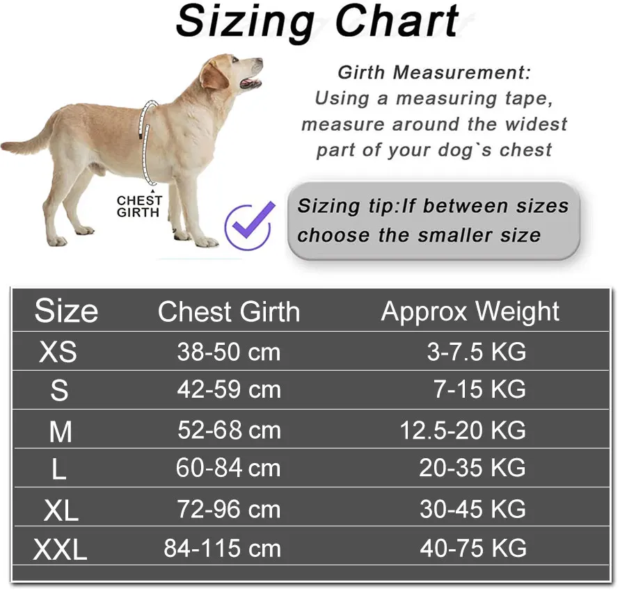 Reflective No Pull Dog Harness 6