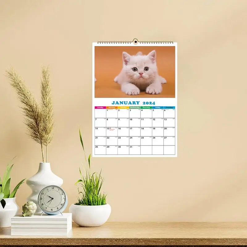 Animals Calendar 2024 Funny Daily Cat Calendar A4 Wall Calendar Dog Calendar Daily Wall Decor For Apartment Dormitory Classroom