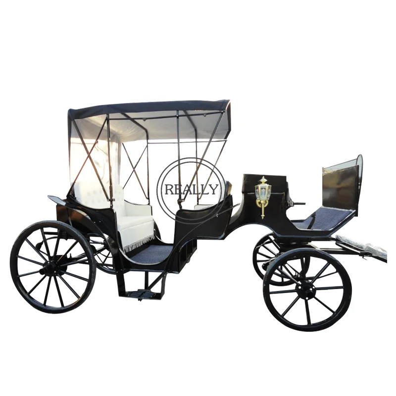 Fabricante de coches de Cenicienta, carro eléctrico para caballos, carro eléctrico de doble hilera para bodas, a la venta