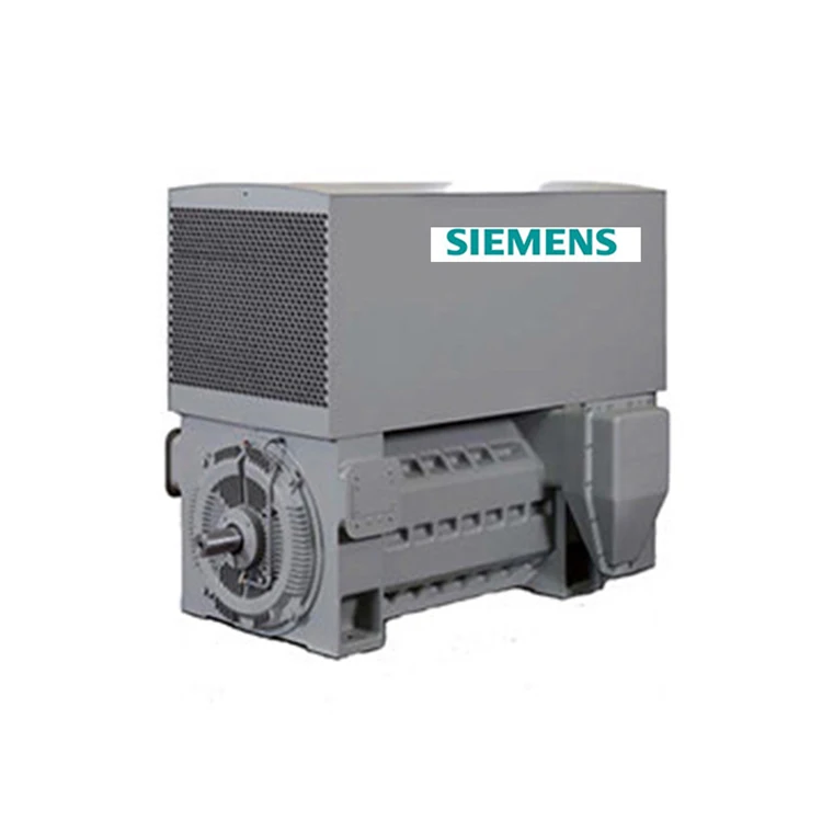 3300v 5500v 6600v Medium Voltage Motor Siemens High Voltage 1000hp Electric Motor Ac Induction Motor