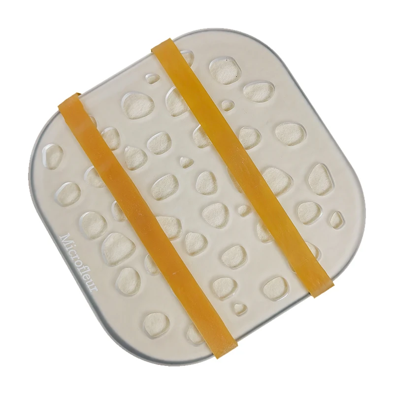 

Microfleur Microwave Flower Press Kit - Fast-Dry Plant & Flower Preservation for Framing, Crafting, and Botanical Specimens