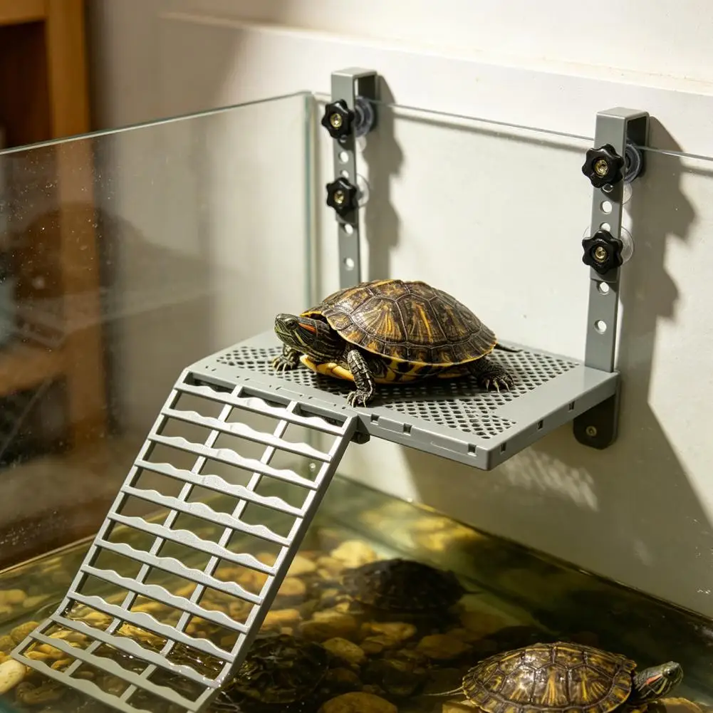 Turtle Basking Platform Aquarium Accessory Solid Form Hanging Turtle Basking Platform with Suction Cups Non-slip for Aquariums