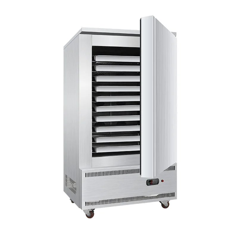 Cake Blast Freezer Commercial Fish Quick Blast Freezer Price 880*850*1920mm