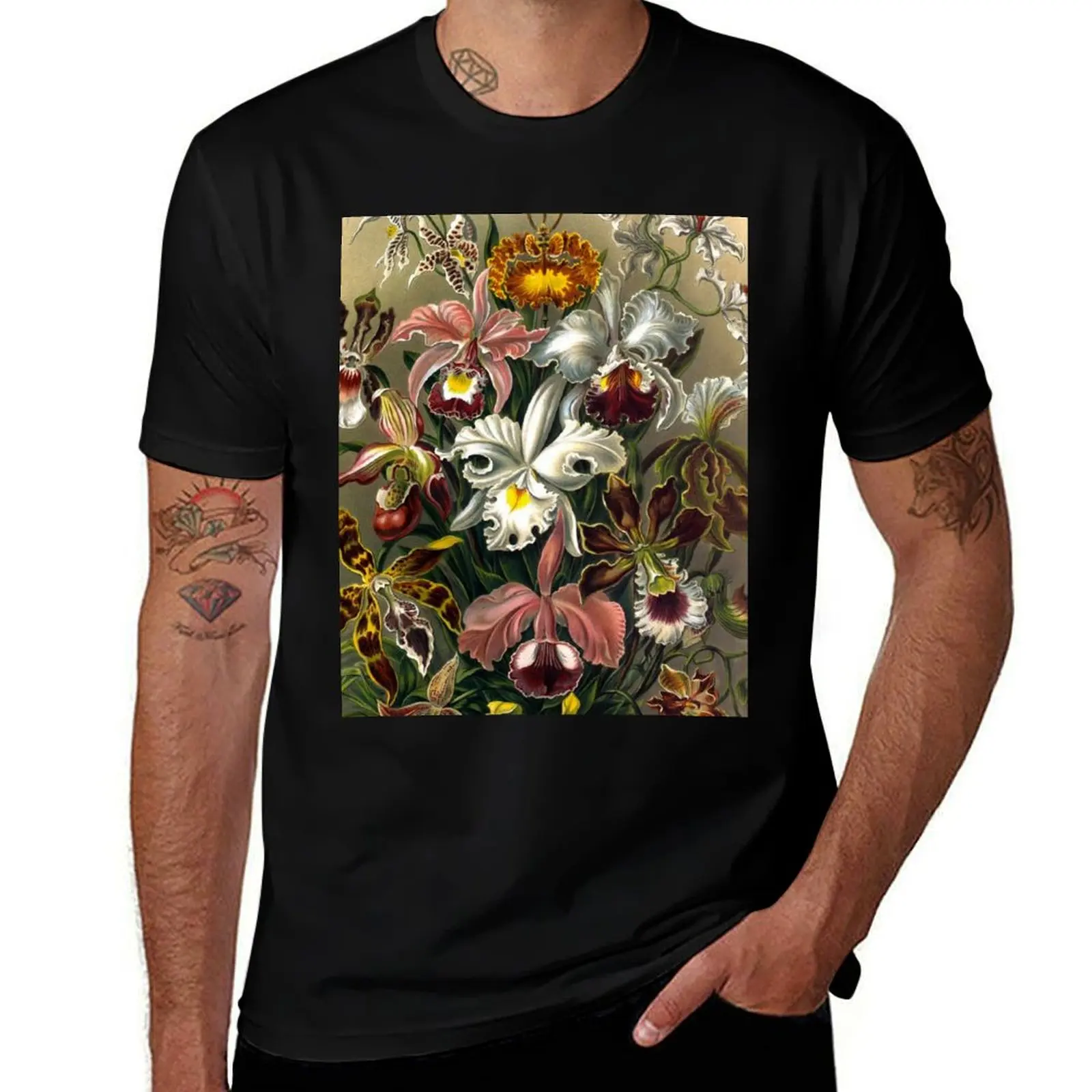 Plate 74. Orchidae (Orchidaceae, the family of orchids. T-Shirt Moisture Control Sports Tee T-Shirt
