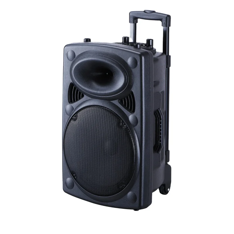 

Karaoke Speaker With Mic and Bt Sound Equipment/amplifiers/speaker Outdoor 12 Inch Portable Party Dj Wireless Trolley Speaker