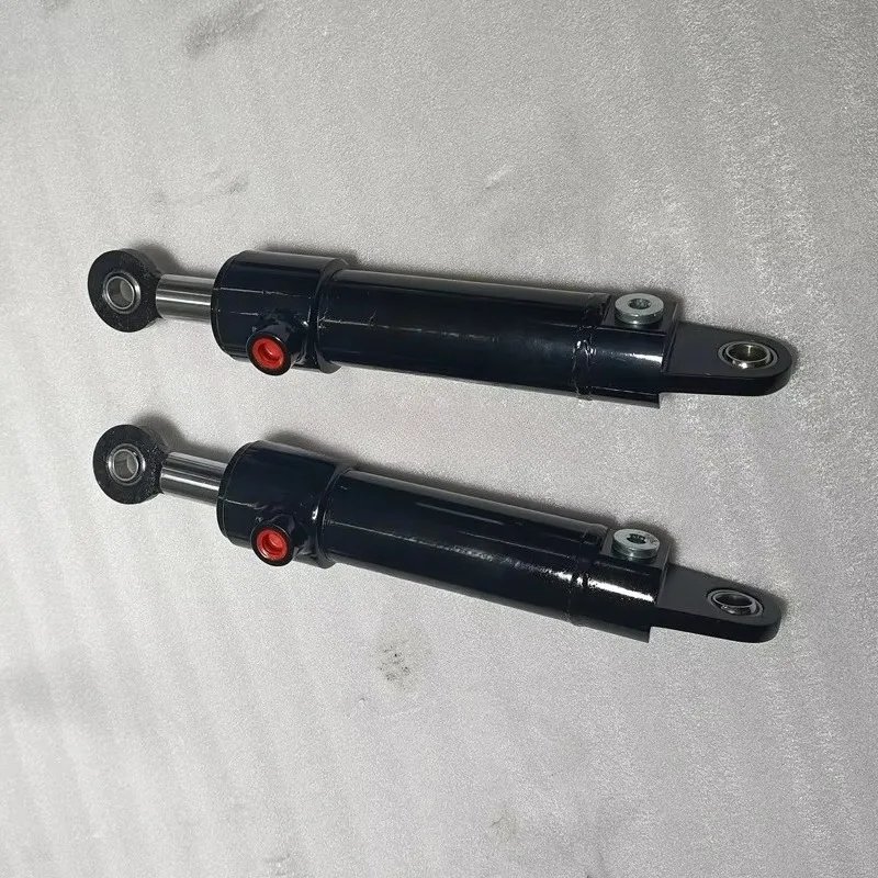 Terex SNH SNH30-D-80/40x490-G FD-63/30X335 أسطوانة الزيت الهيدروليكي SNH30-SD-40/25X 100-S-RS