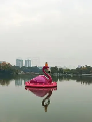 

Комплект двойного охлаждающего вентилятора для высокоскоростного радиатора Trxs VXL-3s ESC, совместимого с Slash/Stampede 2wd