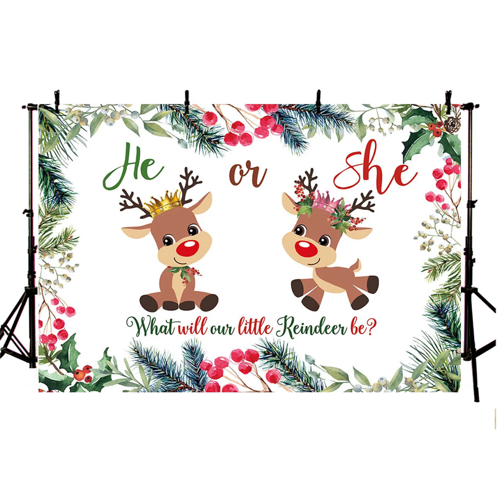 AIBIIN Deer Gender Reveal Backdrop Winter Xmas Baby Shower Photography Background He or She Boy or Girl Newborn Baby Party Decor