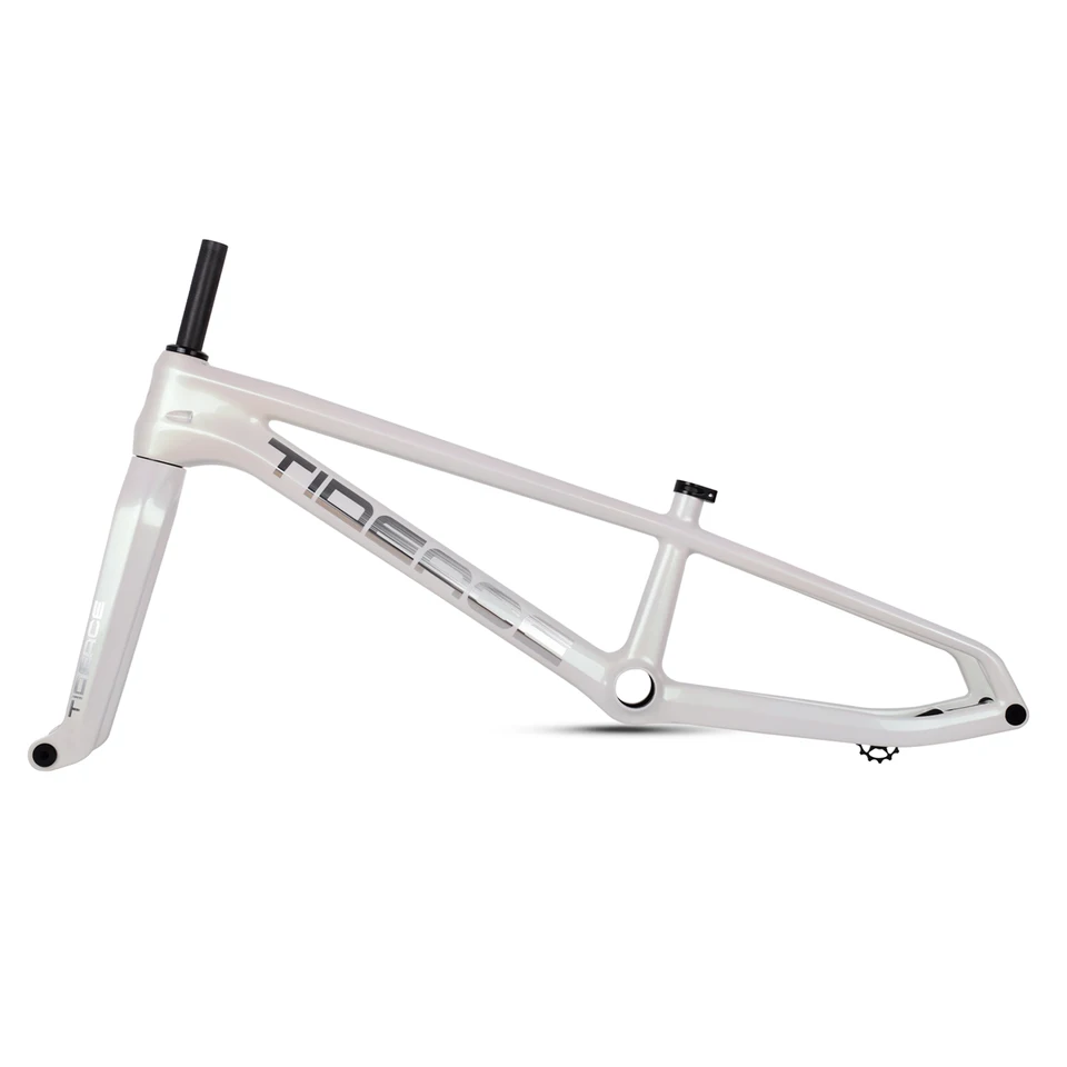 BMXフレーム 軽量 Simple Enigma Frame 自転車本体