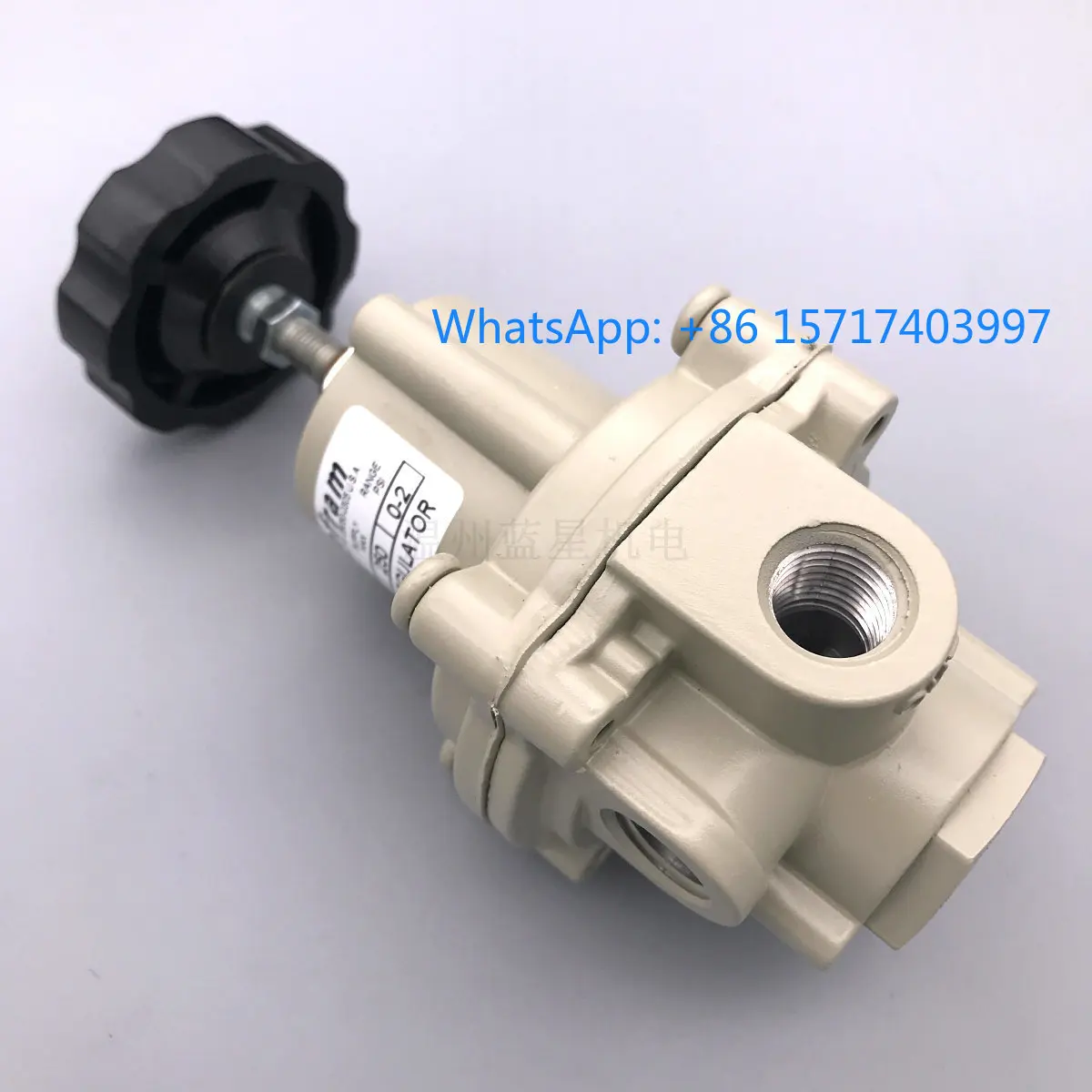Bellowram Precision Regulator 14KPA Micro Pressure Reducing T41-1 960-172-000 113 114 171