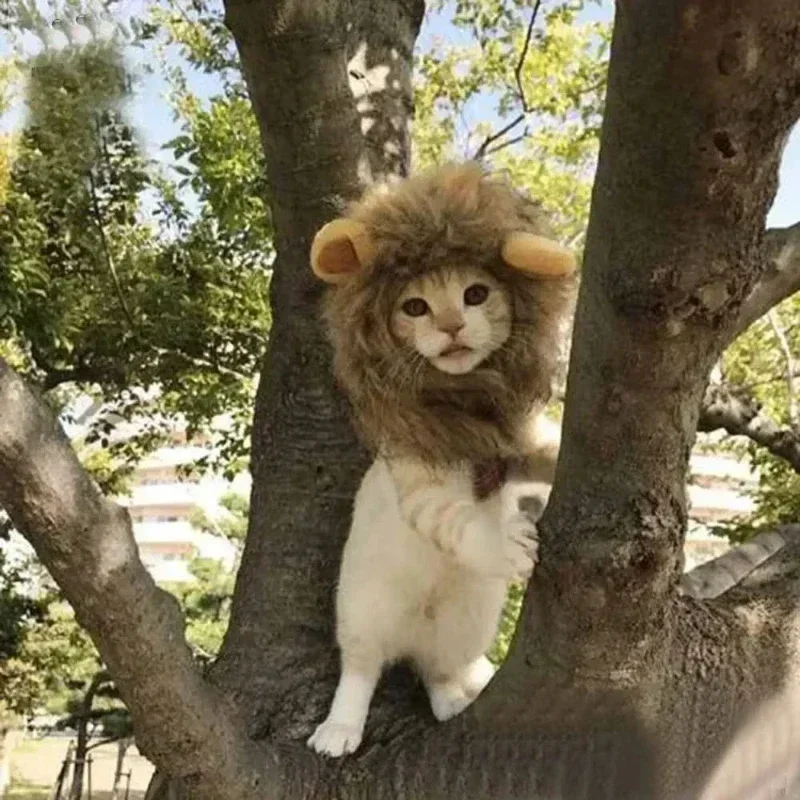 Universal for Cats and Dogs, Adjustable Autumn and Winter Lions Turn Into Pet Hats