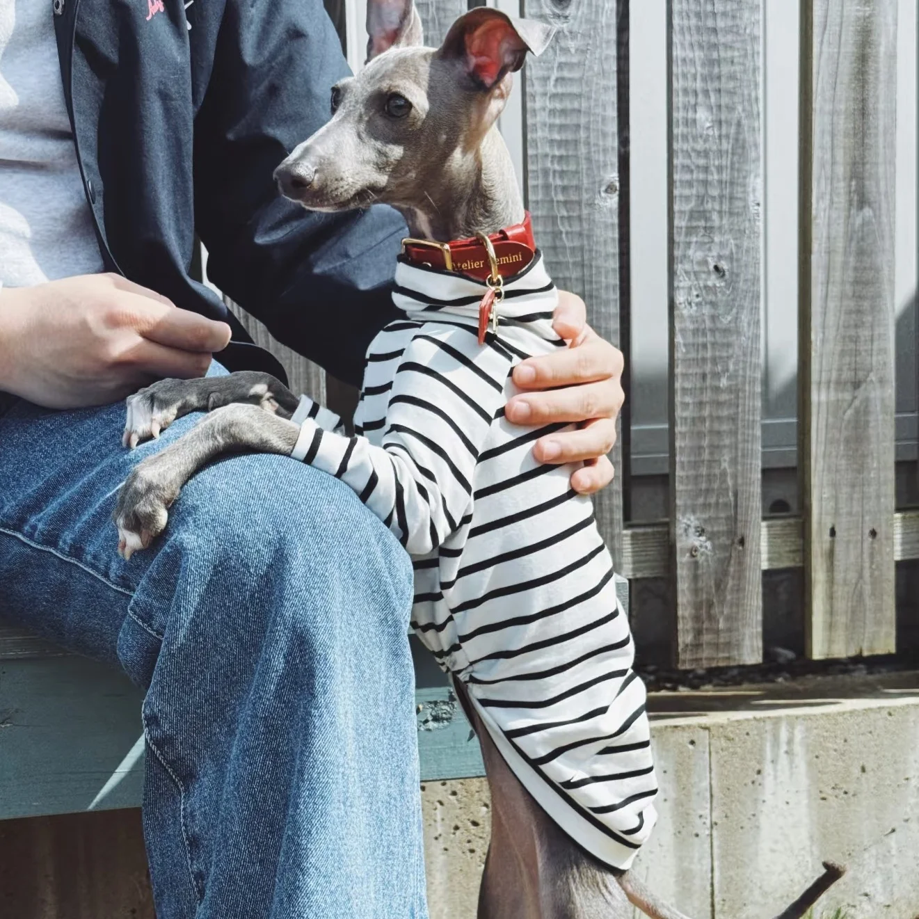 White Striped Cotton T-shirt for Bedlington Spring Dog Clothes Long Sleeves High-neck Undershirt Loungewear for Little Greyhound